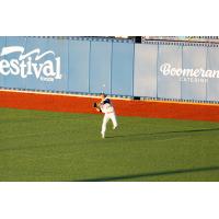 Green Bay Rockers outfielder Nick Harms