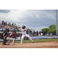 Jake Surane at bat for the Fond du Lac Dock Spiders