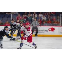 Forward Grant Hebert with the Allen Americans