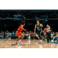 Winnipeg Sea Bears guard Mason Bourcier looks for an opening