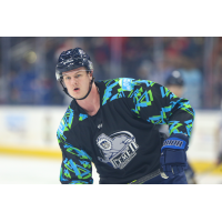 Jacksonville Icemen defenseman Scott Allan