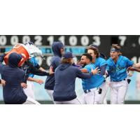 Everett AquaSox greet Victor Labrada after his game-winning hit