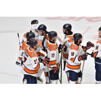 Greenville Swamp Rabbits on the ice