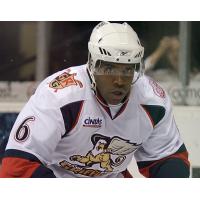 Brett Peterson with the Grand Rapids Griffins