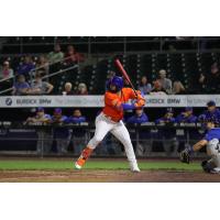 Carlos Cortes of the Syracuse Mets awaits a pitch