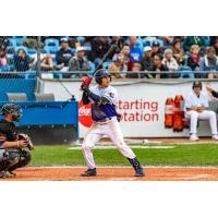 Victoria HarbourCats' Gunner Antillon at bat