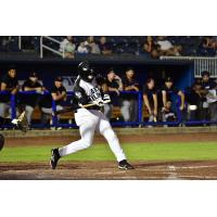 Biloxi Shuckers' Zavier Warren at bat