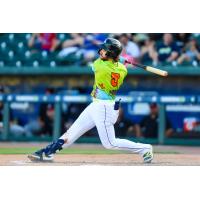 Columbia Fireflies' Blake Mitchell at bat