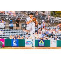 Charleston RiverDogs in action