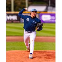 Victoria HarbourCats' Ryne Palmer on the mound