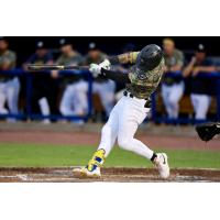 Biloxi Shuckers' Carlos Rodriguez at bat