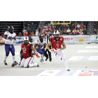 Jacksonville Sharks quarterback Kaleb Barker runs against the Sioux Falls Storm