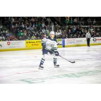 Maine Mariners forward Brooklyn Kalmikov