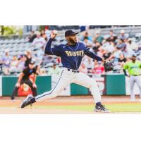 Charleston RiverDogs pitcher Engert Garcia