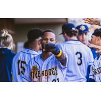 Charleston RiverDogs' Carlos Colmenarez