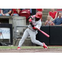 Winnipeg Goldeyes in action