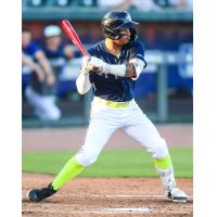 Columbia Fireflies' Erick Torres at bat