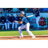 Victoria HarbourCats' Michelle Artzberger at bat