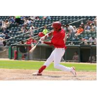 Winnipeg Goldeyes outfielder Roby Enríquez