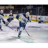 Maine Mariners forward Ty Cheveldayoff