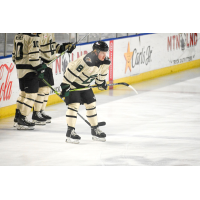 Utah Grizzlies forward Luke Manning