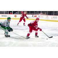 Allen Americans forward Liam Finlay