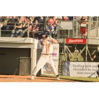 Preston Knott at bat for the Fond du Lac Dock Spiders