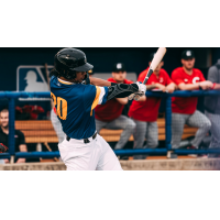 Biloxi Shuckers' Eric Brown Jr. at bat