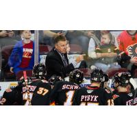 Don Nachbaur instructs his team on the Calgary Wranglers' bench