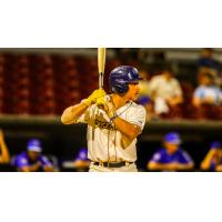 Fond du Lac Dock Spiders' Drew Barragan at bat