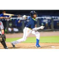 Columbia Fireflies' Jhonny Perdomo in action