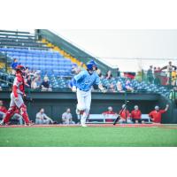 Sioux Falls Canaries in action