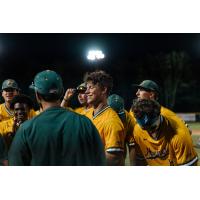 Sanford Mainers' Colin Barczi on game night