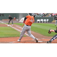 Long Island Ducks infielder Ryan McBroom