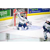 Maine Mariners goaltender Brad Arvanitis