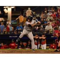 Somerset Patriots outfielder Elijah Dunham