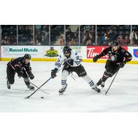 Wenatchee Wild forward Caelan Joudrey vs. the Red Deer Rebels