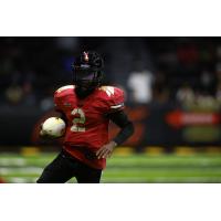 Vegas Knight Hawks quarterback Ja'Rome Johnson