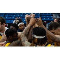 Edmonton Stingers celebrate win