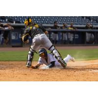 Tampa Tarpons and Bradenton Marauders in action