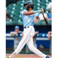 Columbia Fireflies' Austin Charles at bat