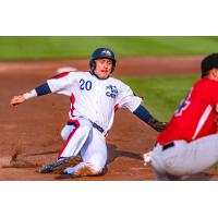 Victoria HarbourCats' Gunner Antillonin action