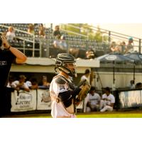 Fond du Lac Dock Spiders catcher Tyler Stack