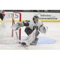 Henderson Silver Knights goaltender Jordan Papirny