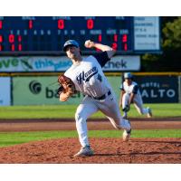 Victoria HarbourCats' Jake Finkelstein on the mound