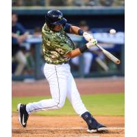 Columbia Fireflies' Dionmy Salon at bat