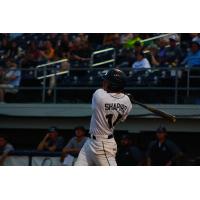 Caden Shapiro of the Fond du Lac Dock Spiders