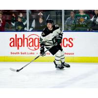 Utah Grizzlies forward Cole Gallant