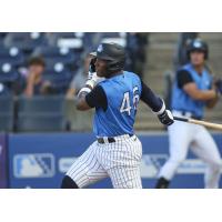 Tampa Tarpons' Parks Harber at bat