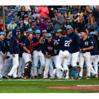 Victoria HarbourCats on game night